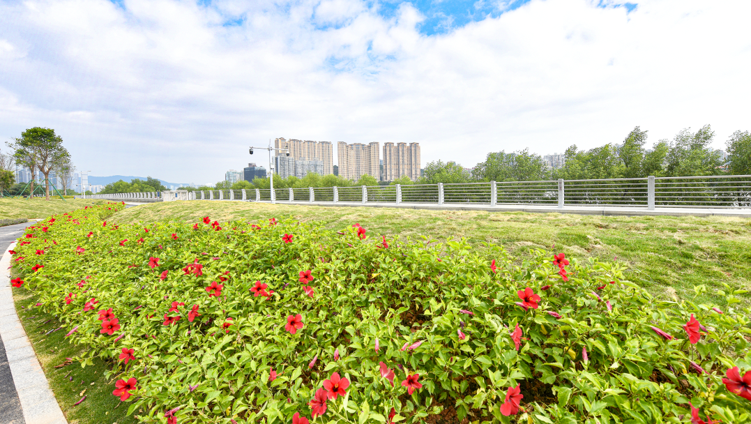 1730967850474392.png 5.png